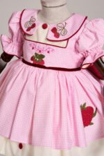Arazretrobaby Pembe Pötikare Çilek Nakışlı Retro Kız Bebek Elbisesi - Görsel 4